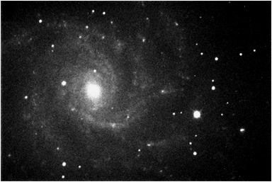 Picture of Supernova