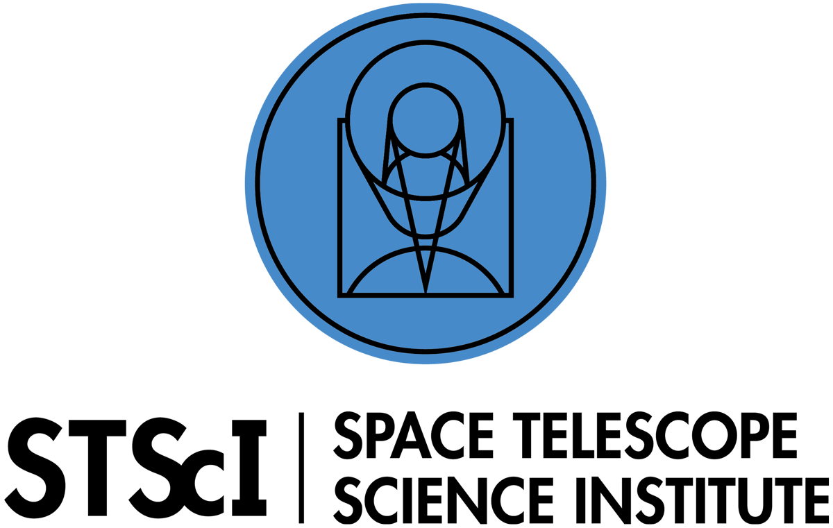 Space Telescope Science Institute logo with a transparent background.