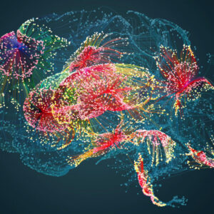 An artistic concept of neural networks and related activity in the human brain